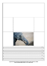 Popup-Buch-Asiatischer-Elefant-1-6.pdf